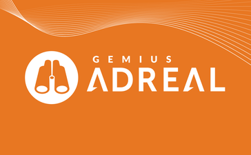 #gemiusAdReal Germany case study: Top 10 Brand Owners