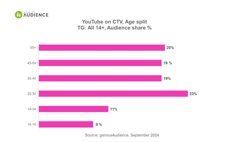 Audience DE website (2)